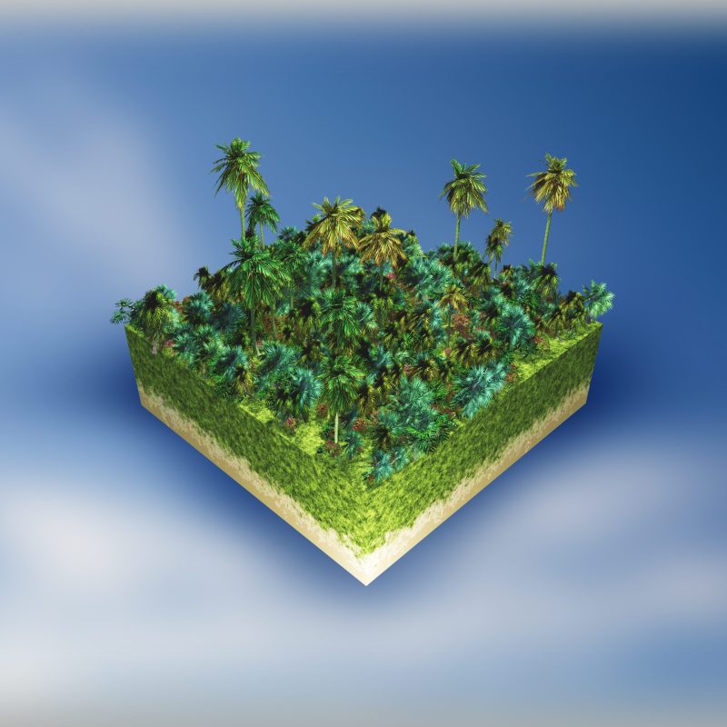 3D render of an abstract landscape with a palm tree cube